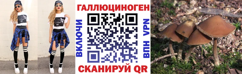 ссылка на мегу как войти  Стерлитамак  Галлюциногенные грибы Psilocybe 